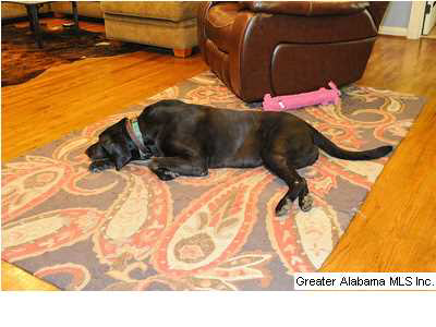 810 Roywood Road Birmingham, AL 35210 - Photo 30 of 30