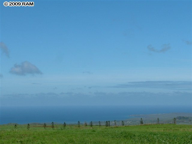 a view of a field with an ocean