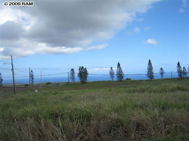 100 Maunaloa Road Maunaloa, HI 96770 - Photo 2 of 7 a view of a green field