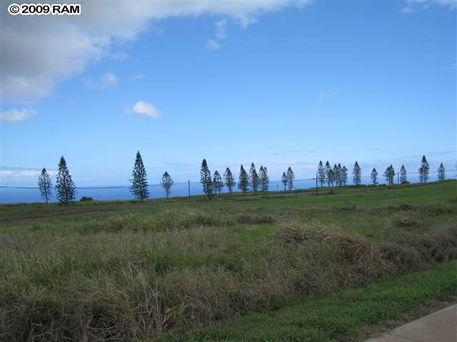 100 Maunaloa Road Maunaloa, HI 96770 - Photo 3 of 7 a view of a green field
