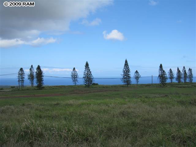 100 Maunaloa Road Maunaloa, HI 96770 - Photo 4 of 7 a view of a city