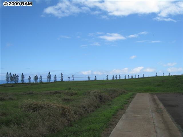 100 Maunaloa Road Maunaloa, HI 96770 - Photo 5 of 7 a view of a grassy field