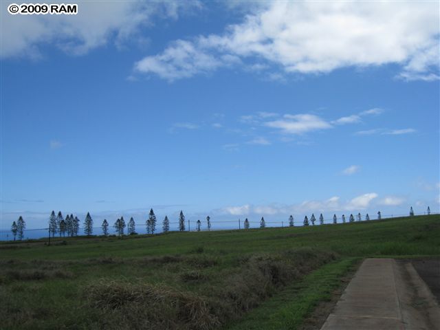 100 Maunaloa Road Maunaloa, HI 96770 - Photo 6 of 7