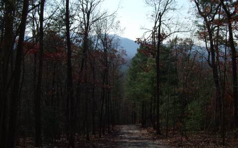 Antioch Cemetary Road Morganton, GA 30560 - Photo 1 of 1 Main View