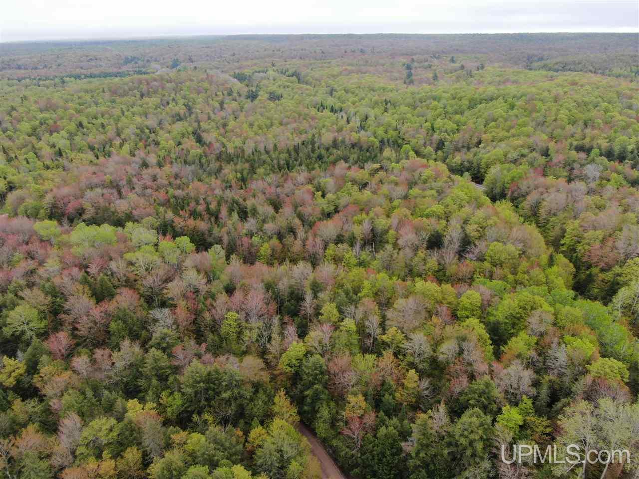 0 County Road 577 Road, Unit ANNA RIVER RDP Munising, MI 49862 - Photo 11 of 26