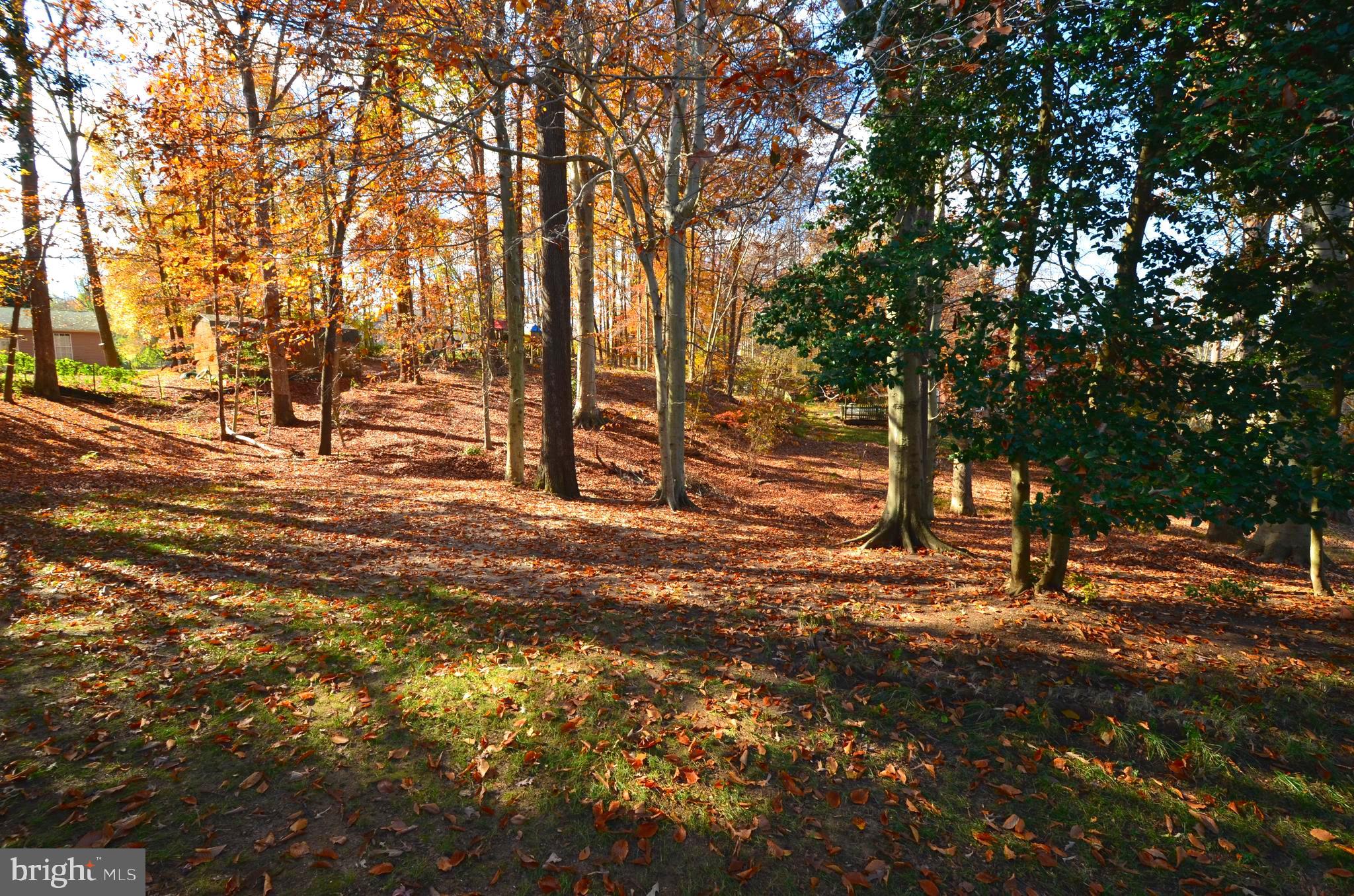 5360 Solomons Island Road Huntingtown, MD 20639 - Photo 22 of 46 Rear yard