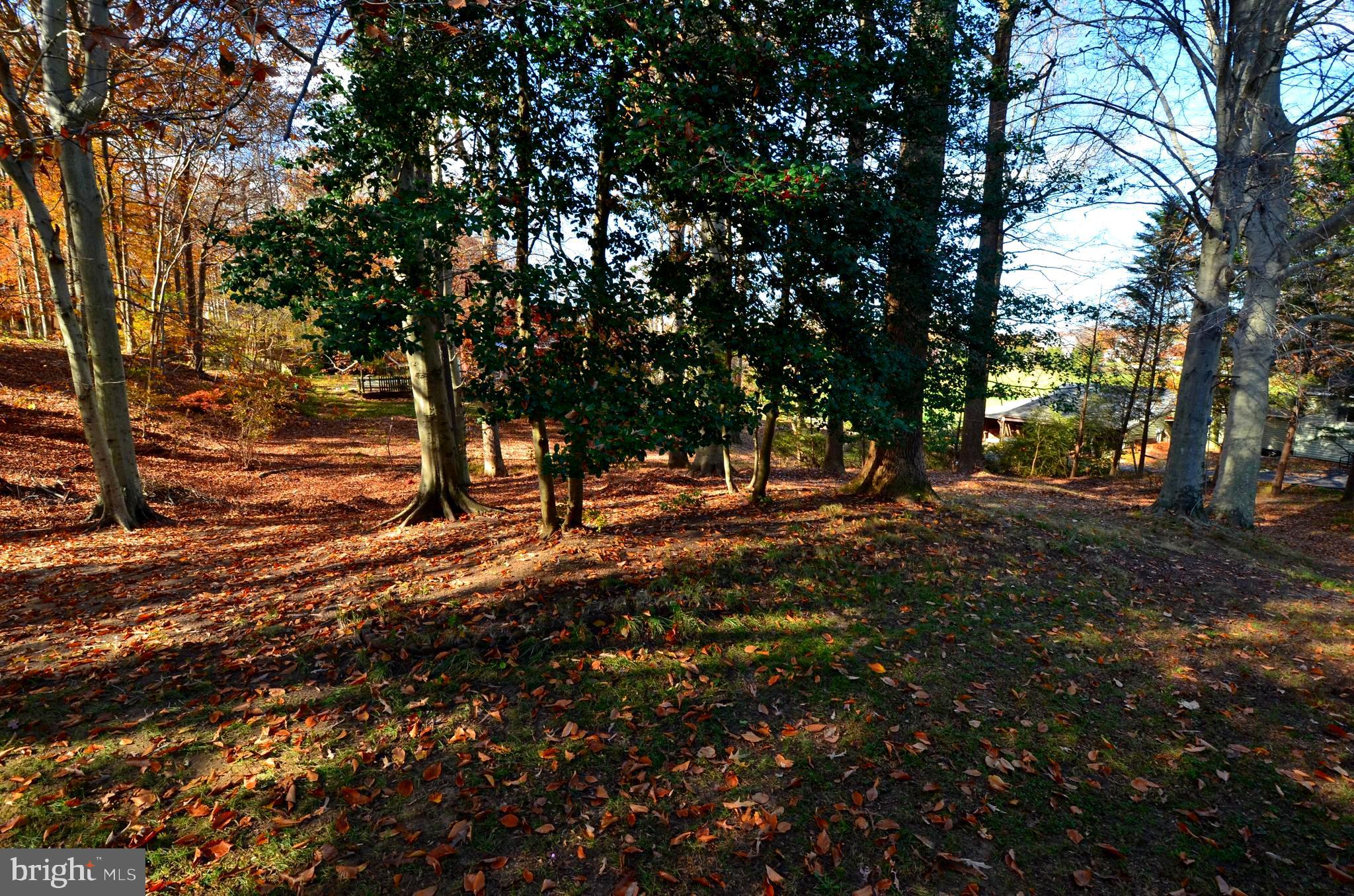 5360 Solomons Island Road Huntingtown, MD 20639 - Photo 23 of 46 Rear yard