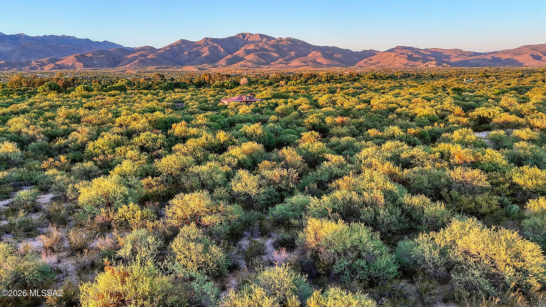 1242 North Freeman Road, Unit 5 ACRE Tucson, AZ 85749 - Photo 11 of 20 Plenty of Wildlife