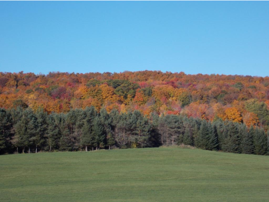 91 Rugg Road St. Albans Town, VT 05455 - Photo 2 of 34 Gallery Image 2