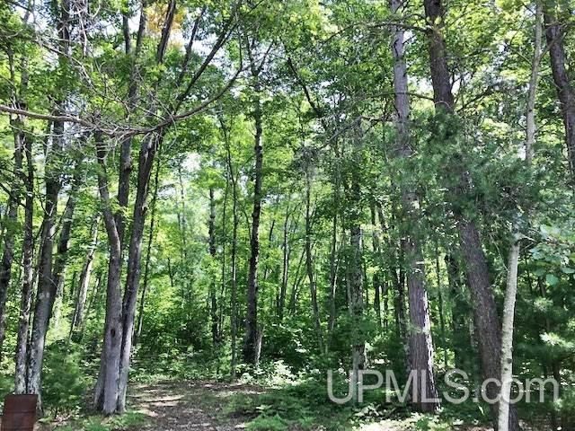 18752 Short Cut Road Pembine, WI 54156 - Photo 33 of 36 Gallery Image 33