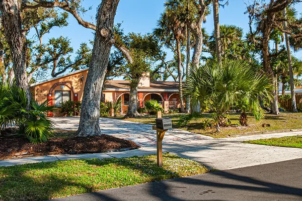 a view of a yard with plants