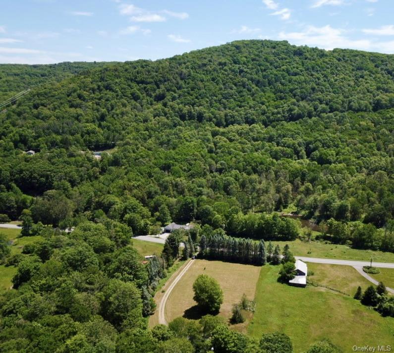 438 Gulf Road Roscoe, NY 12776 - Photo 8 of 29