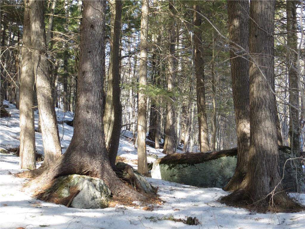 Lot 68 Douglass Road Newry, ME 04261 - Photo 3 of 10 Photo