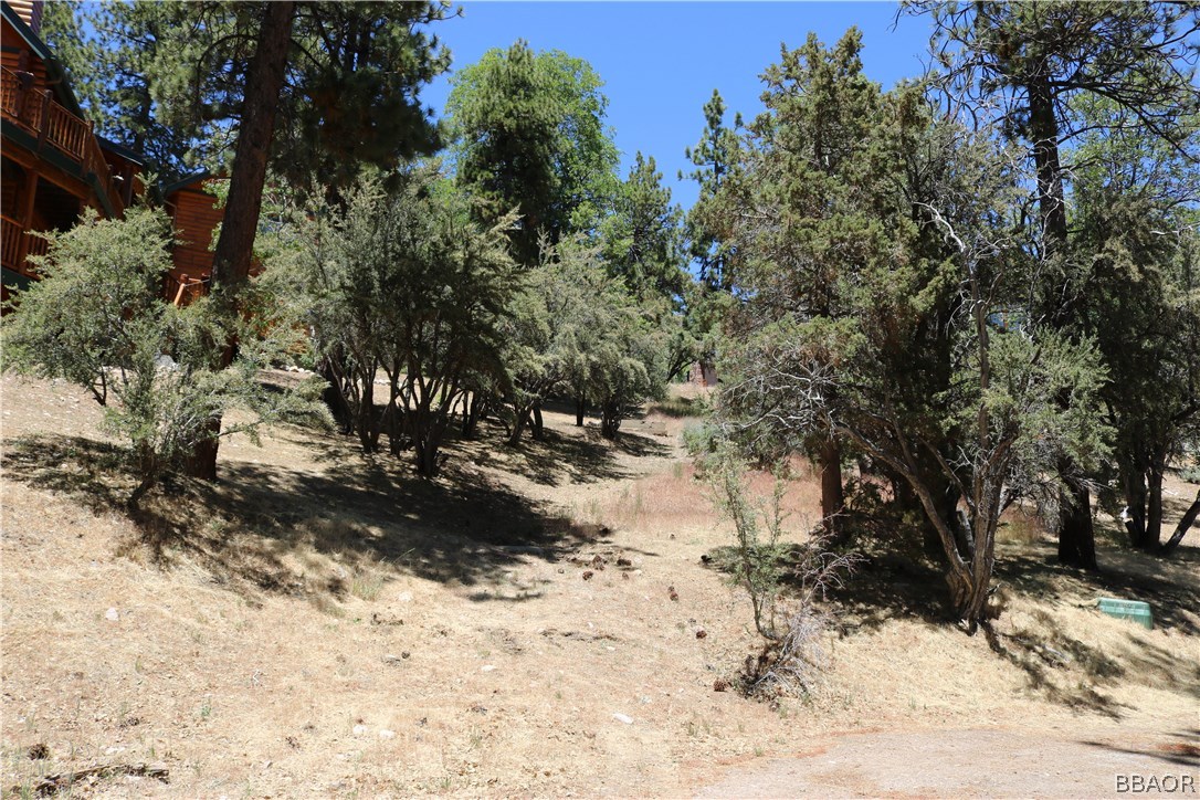 0 Lodge Road Fawnskin, CA 92333 - Photo 7 of 9 Gallery Image 7