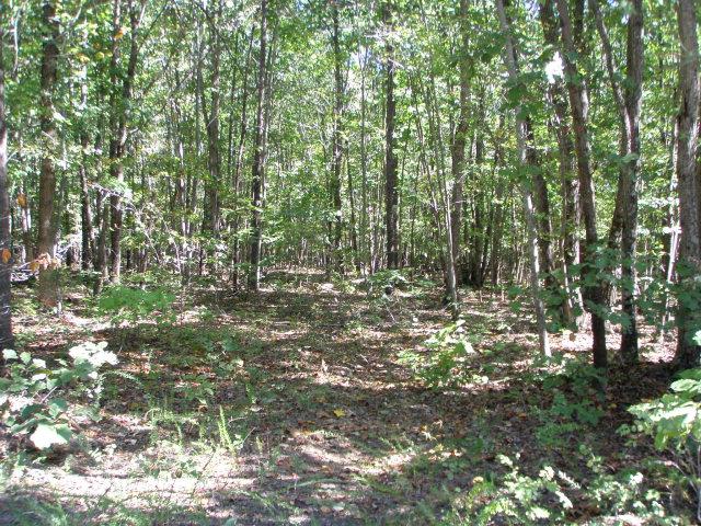 601 Manteo Road, Unit 1 Buckingham, VA 23921 - Photo 7 of 7 Gallery Image 7