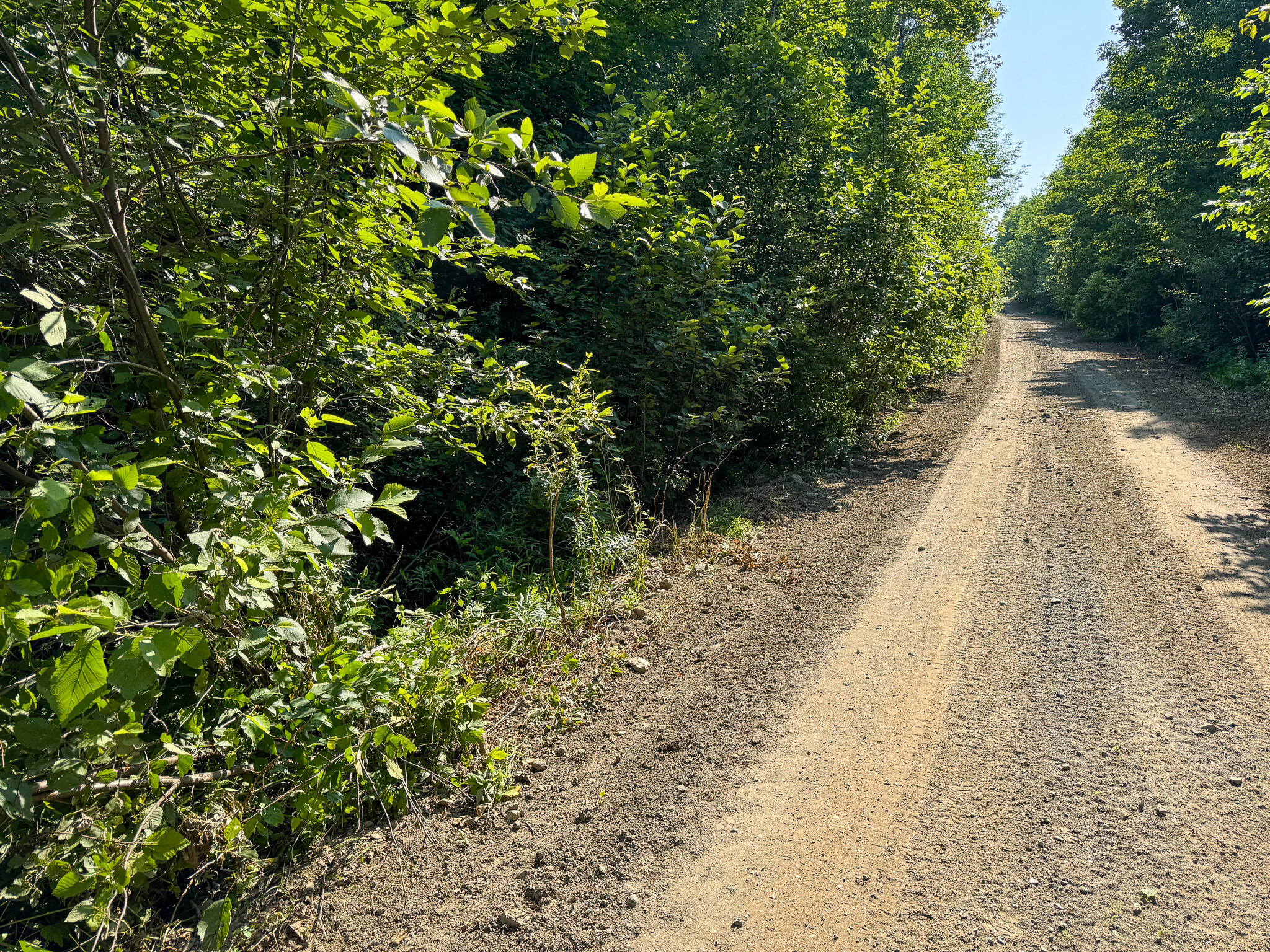 M8-l4 Mountain Road Mount Chase, ME 04765 - Photo 8 of 35 8