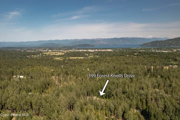 $2,975,000 | 399 Forest Knolls Drive, Sandpoint, ID 83864