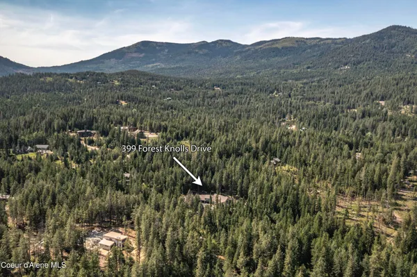 $2,975,000 | 399 Forest Knolls Drive, Sandpoint, ID 83864
