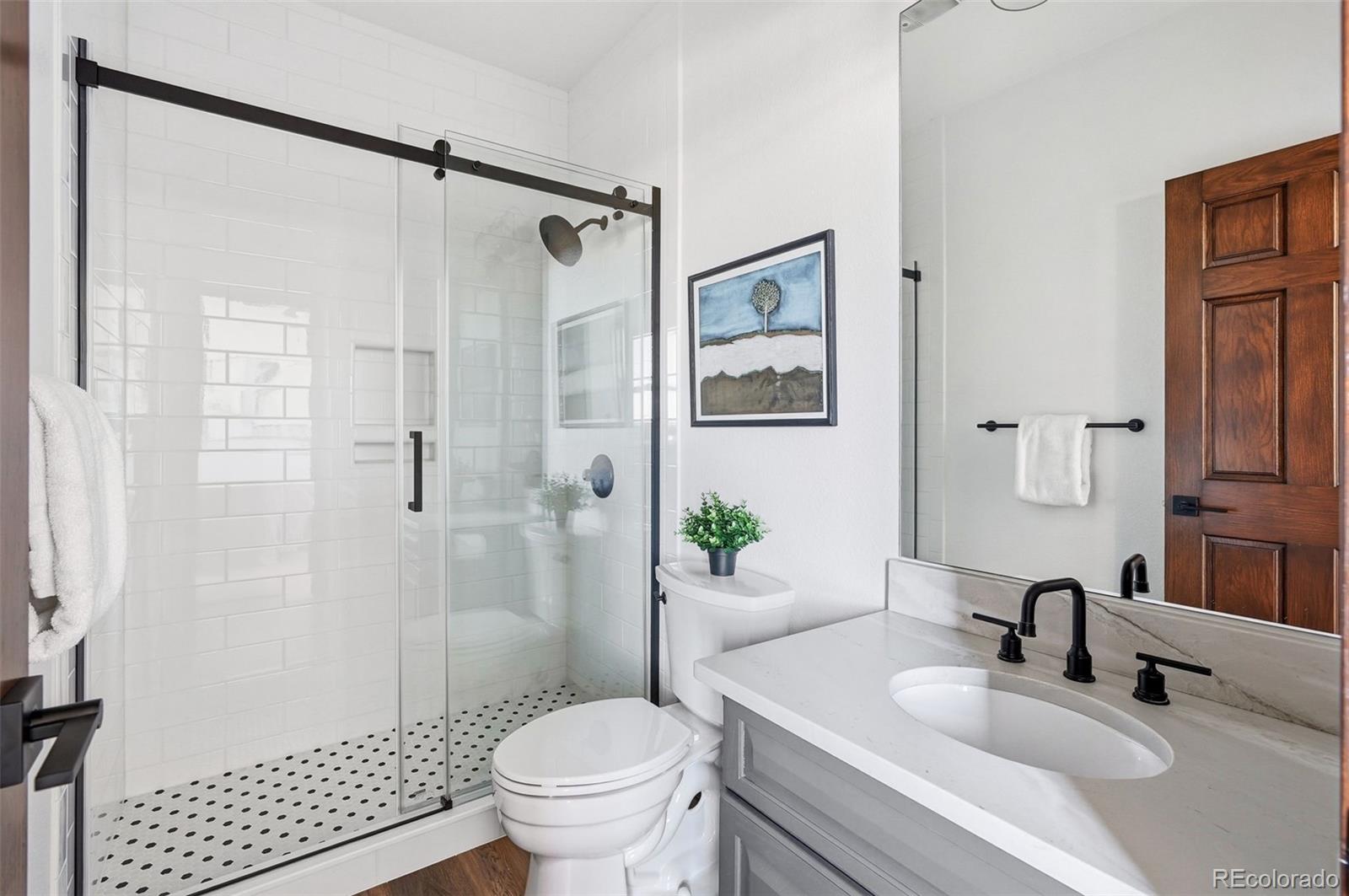 4347 Crowfoot Valley Road Castle Rock, CO 80108 - Photo 28 of 50 a bathroom with a sink toilet and shower