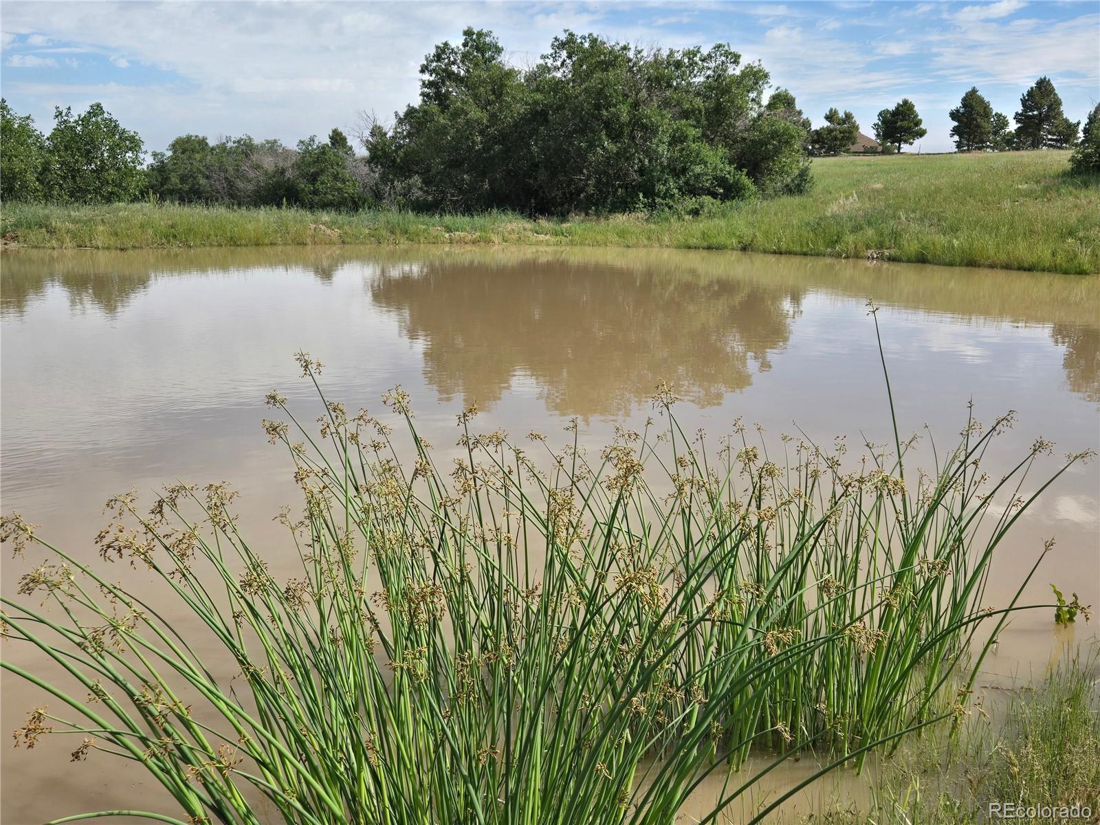4347 Crowfoot Valley Road Castle Rock, CO 80108 - Photo 39 of 50 a view of a lake with a yard