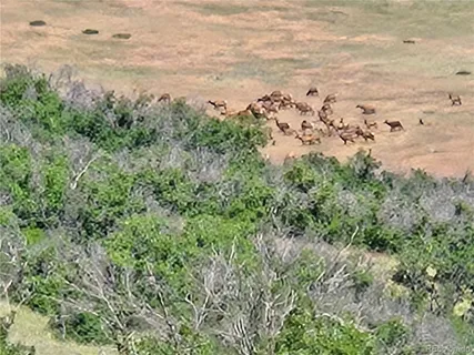 $3,000,000 | 4347 Crowfoot Valley Road, Castle Rock, CO 80108