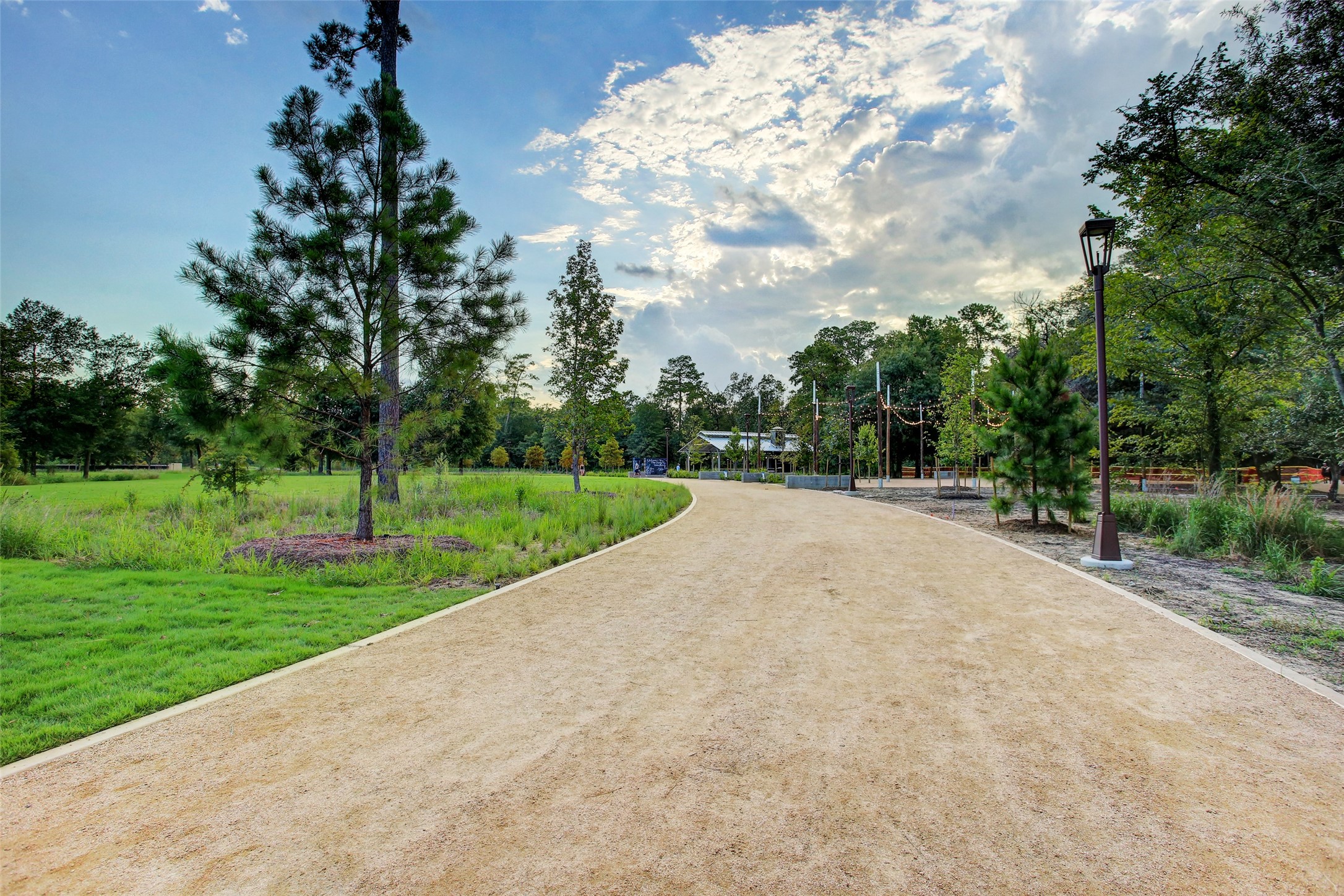 987 South Post Oak Lane Houston, TX 77056 - Photo 42 of 46 a view of a park with plants and a large tree