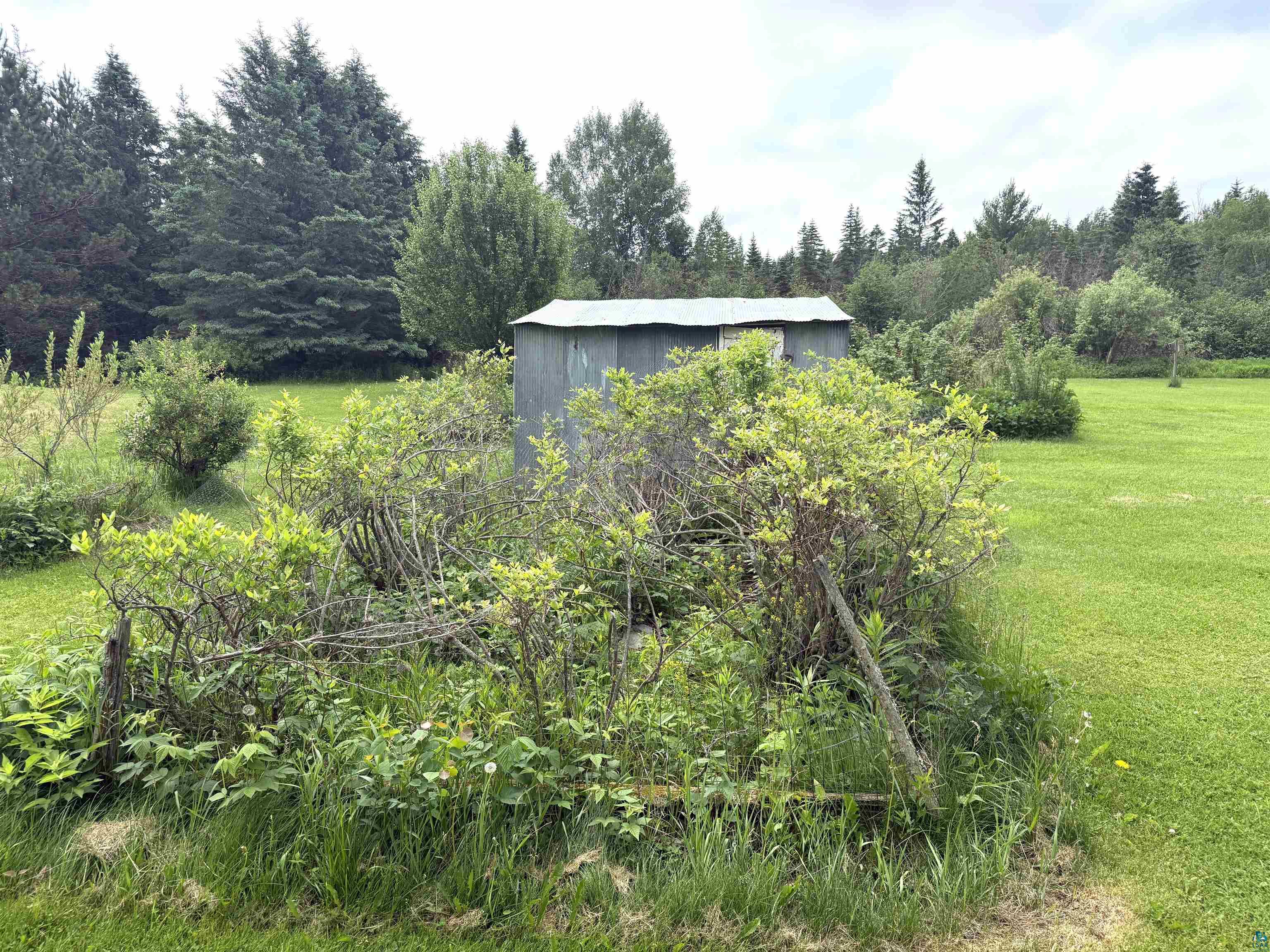 3541 Bent Trout Lake Road Barnum, MN 55707 - Photo 29 of 41 Expansive grassy grounds with a utility shed and mature trees