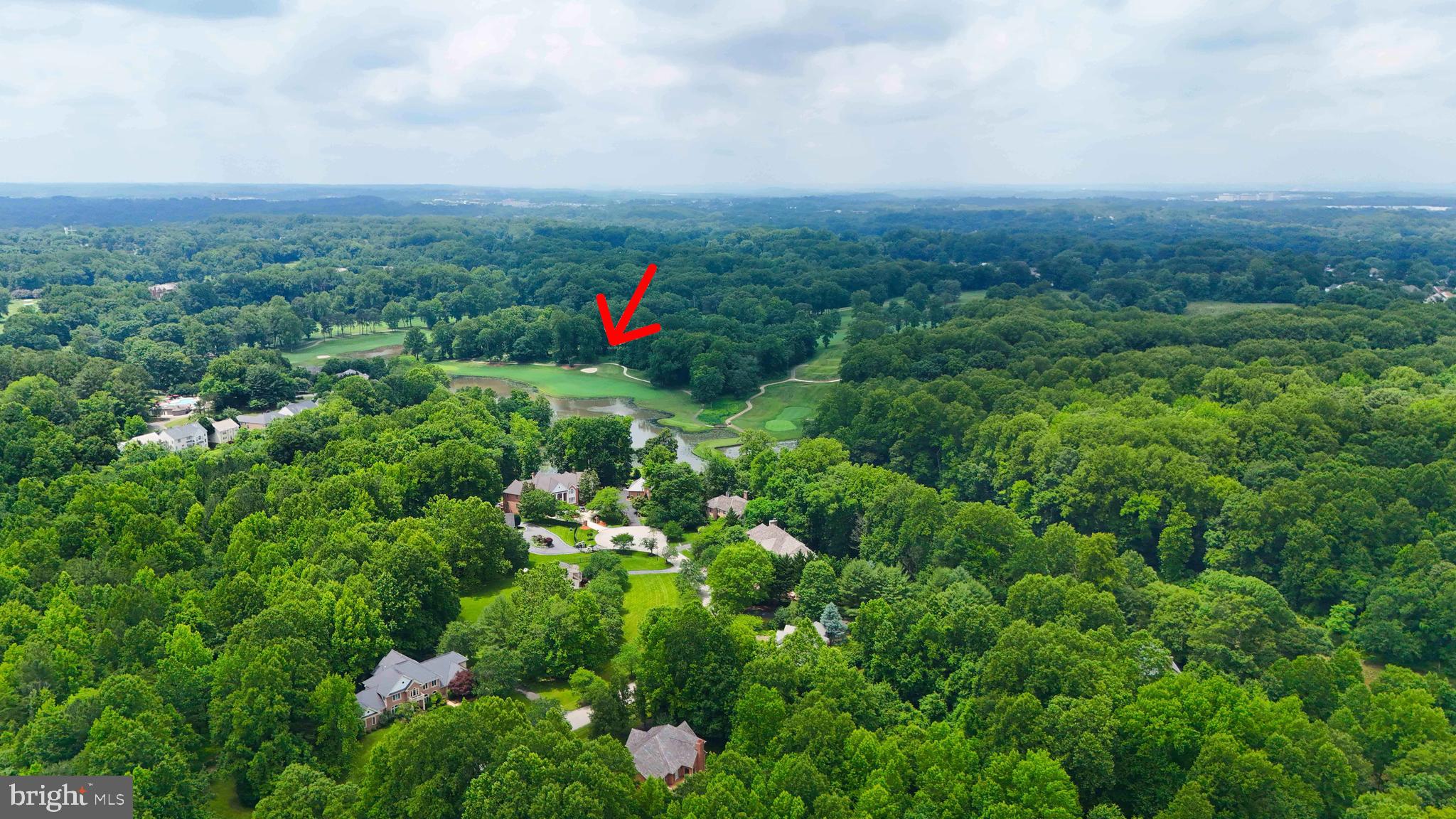 3005 Courtside Road Bowie, MD 20721 - Photo 39 of 43 a view of a garden with plants and large trees
