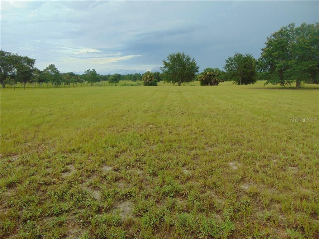 0 Thomas Boat Landing Road Umatilla, FL 32784 - Photo 1 of 1 Gallery Image 1
