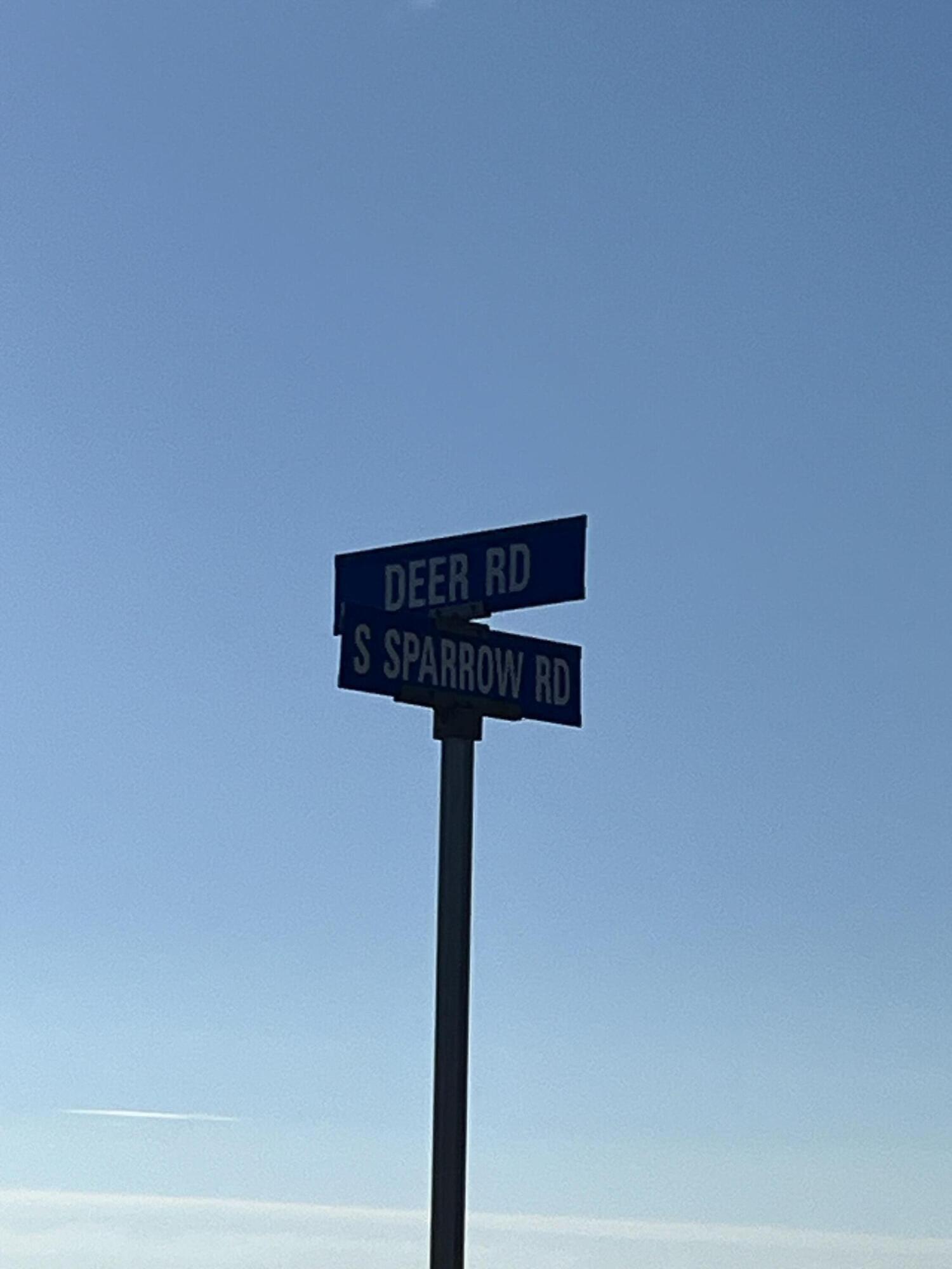 3140 Sparrow Road Lubbock, TX 79407 - Photo 2 of 8 a close up of a street sign