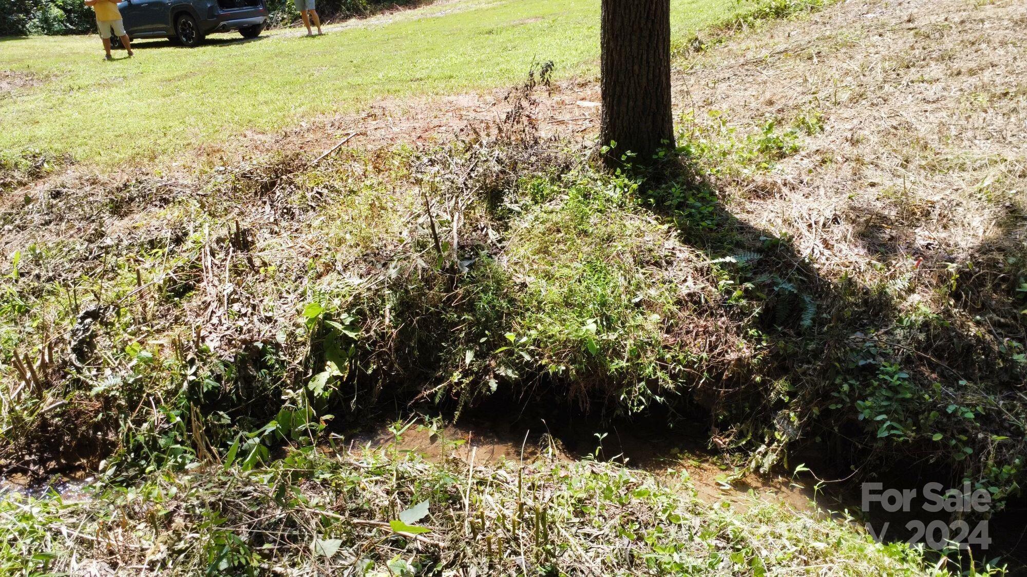 Tbd JB Road, Unit 1 Claremont, NC 28610 - Photo 21 of 31 a view of a yard