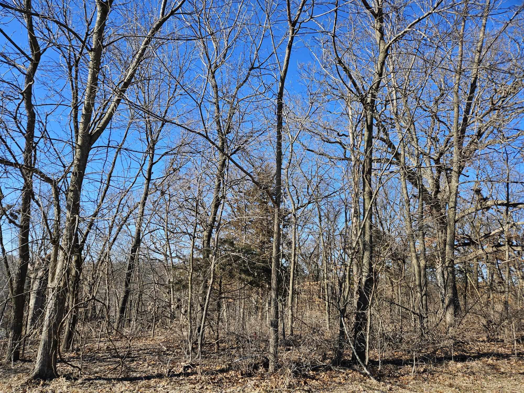 4722 West Longhollow Road Galena, IL 61036 - Photo 13 of 14 a backyard of a house with lots of trees