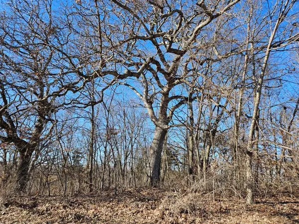 $48,500 | 4722 West Longhollow Road, Galena, IL 61036