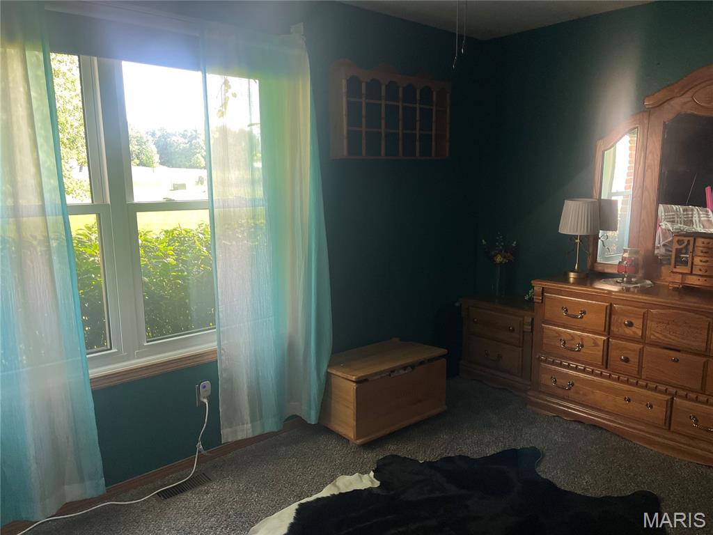 219 Creekview Road Clever, MO 65631 - Photo 12 of 57