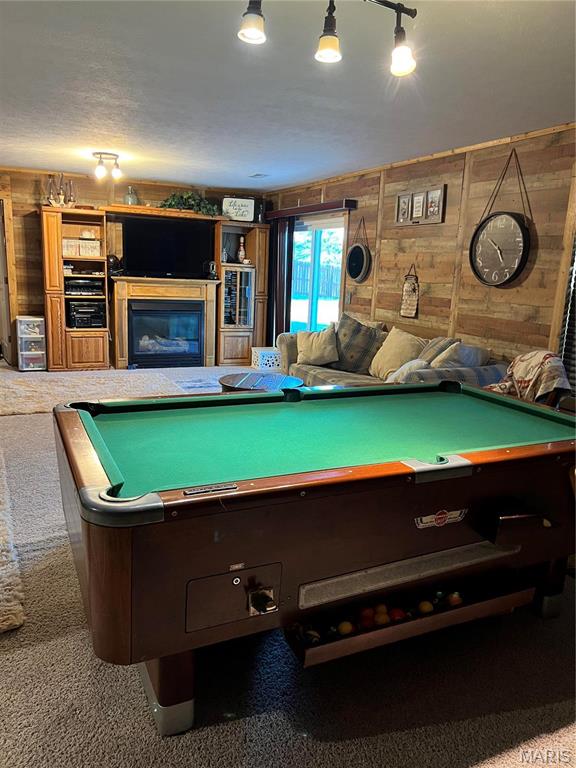 219 Creekview Road Clever, MO 65631 - Photo 25 of 57