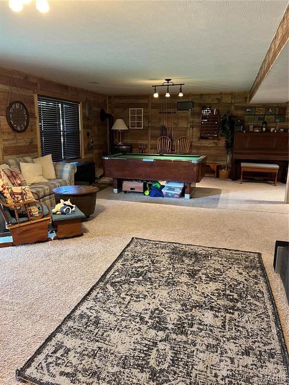 219 Creekview Road Clever, MO 65631 - Photo 28 of 57