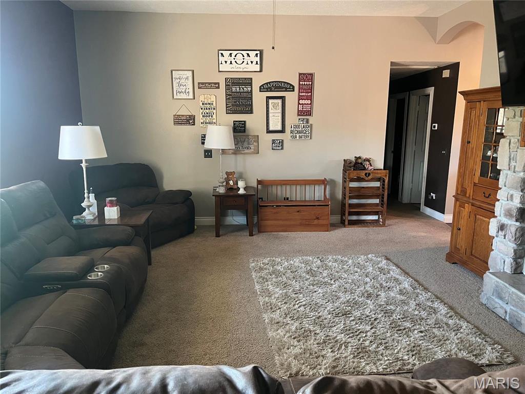 219 Creekview Road Clever, MO 65631 - Photo 3 of 57