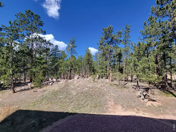 $595,000 | 2225 North County Road, Red Feather Lakes, CO 80545