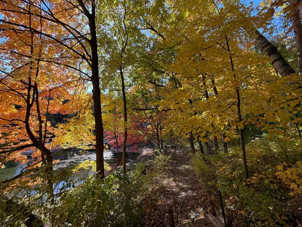 $900,000 | N7329 County Road CJ, Unit LT2, Rhine, WI 53073