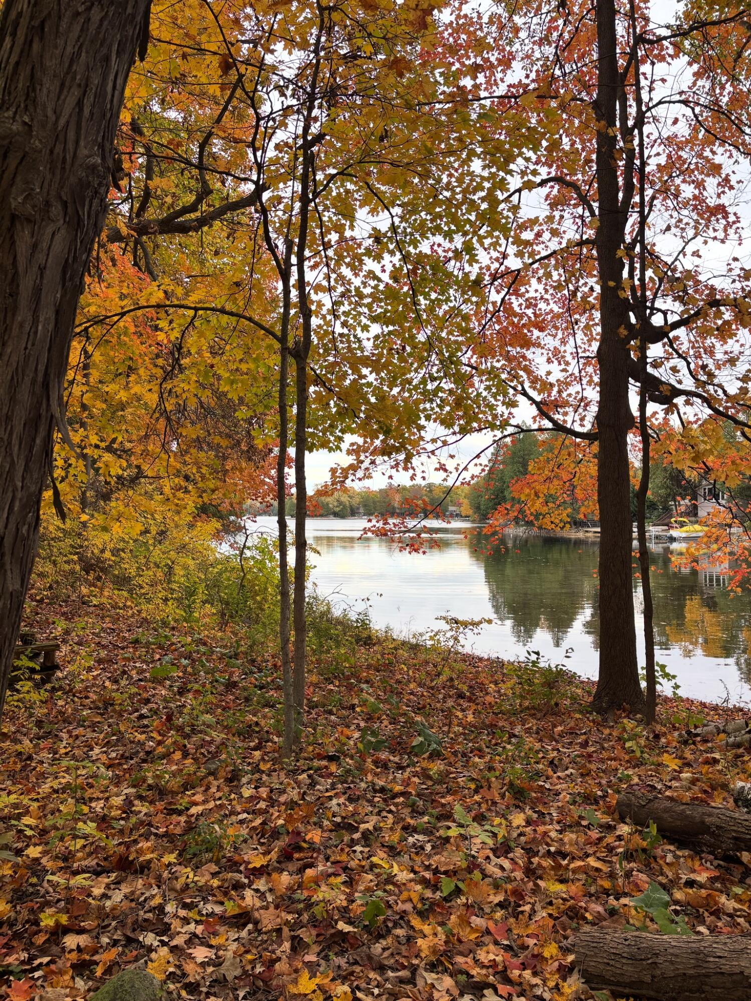 N7329 County Road CJ, Unit LT2 Rhine, WI 53073 - Photo 2 of 54 lake views from edge of lot