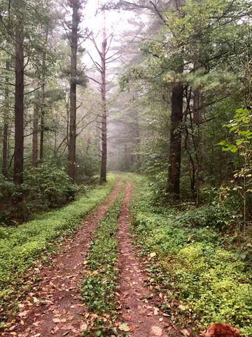 $900,000 | N7329 County Road CJ, Unit LT2, Rhine, WI 53073