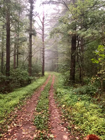 $900,000 | N7329 County Road CJ, Unit LT2, Rhine, WI 53073