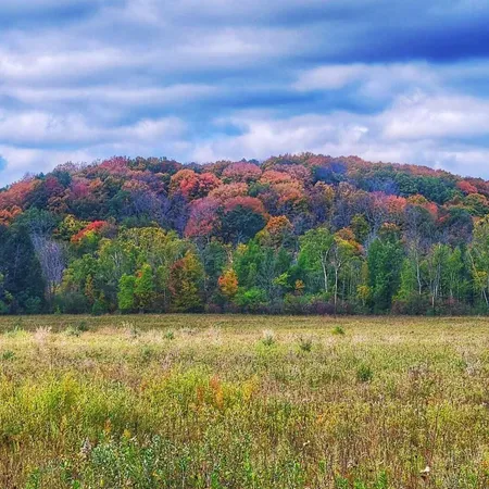 $900,000 | N7329 County Road CJ, Unit LT2, Rhine, WI 53073