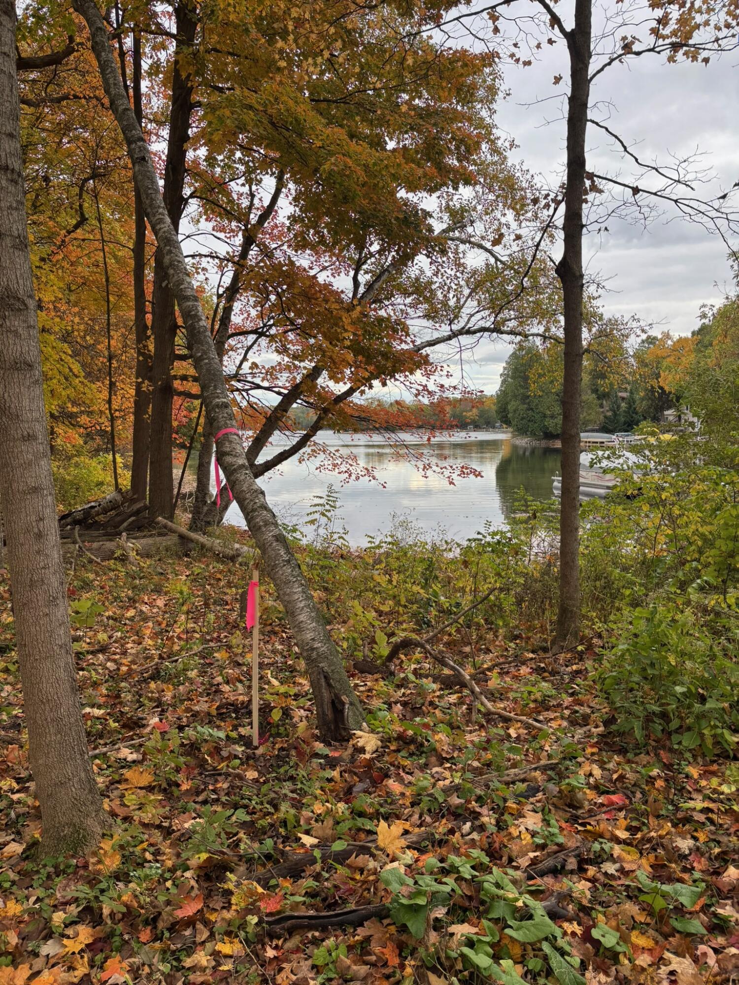 N7329 County Road CJ, Unit LT2 Rhine, WI 53073 - Photo 5 of 54 north lot line at lake