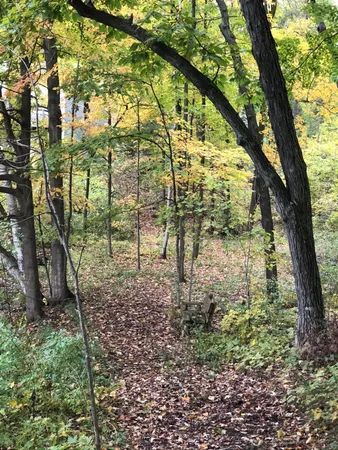 $900,000 | N7329 County Road CJ, Unit LT2, Rhine, WI 53073