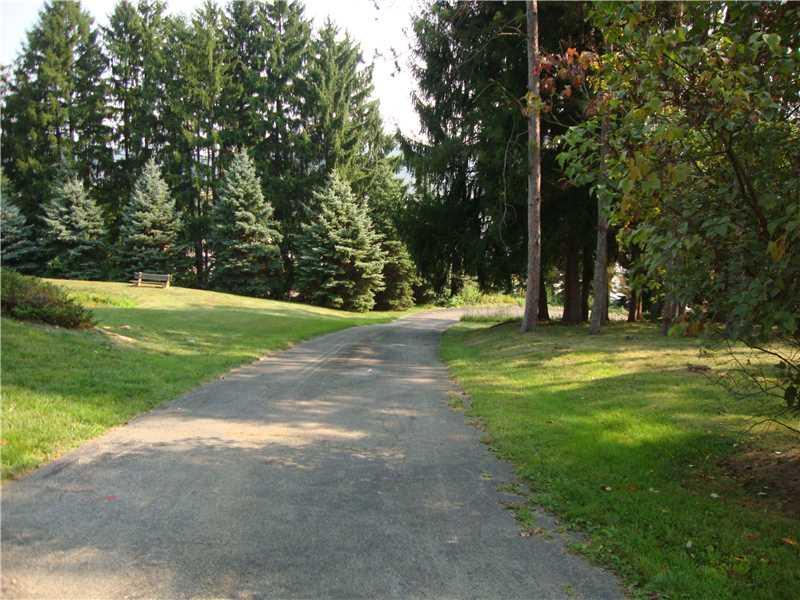 470 South Ben Franklin Road Indiana, PA 15701 - Photo 14 of 15 Land. The long driveway wraps around property