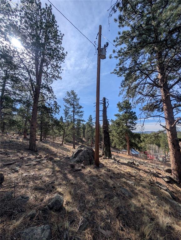 1176 Trail Creek Road Lake George, CO 80827 - Photo 26 of 34