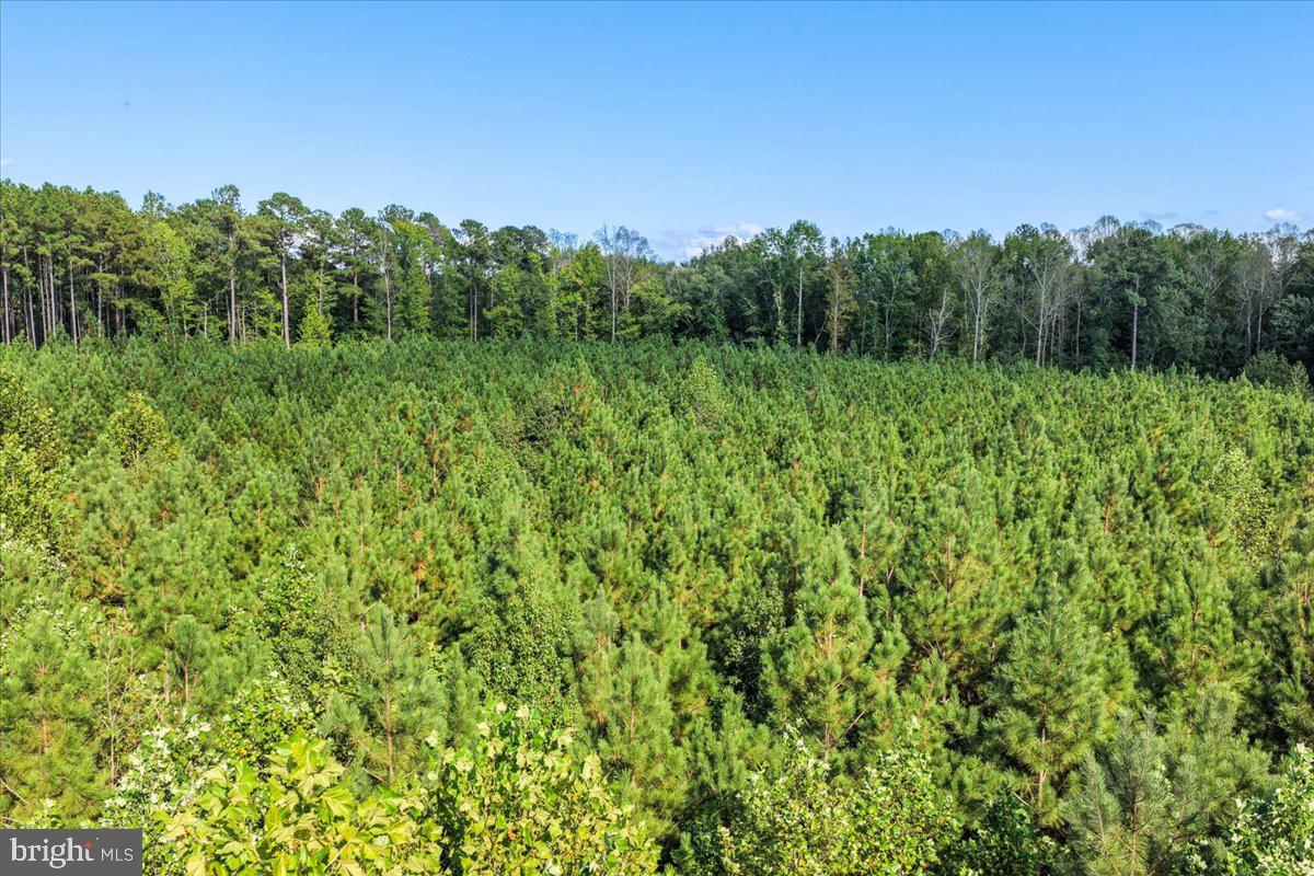 Lot 7-8 County Pond Road Freeman, VA 23856 - Photo 14 of 19 Gallery Image 14