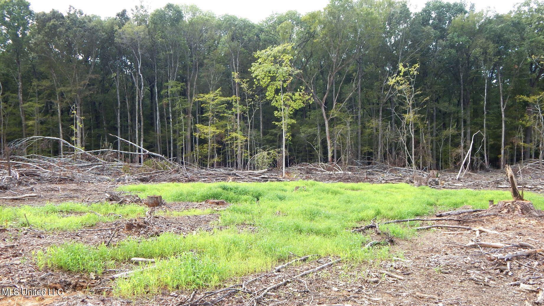49 811th Road Coffeeville, MS 38922 - Photo 1 of 52 Land