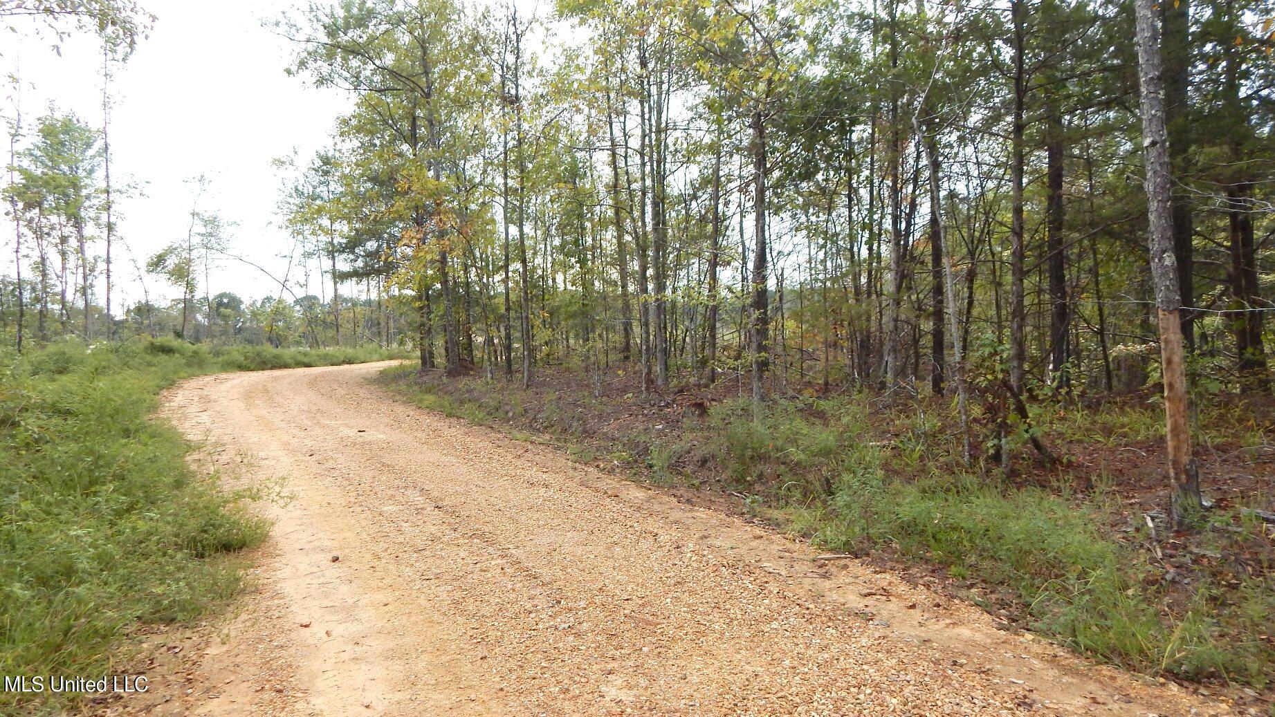 49 811th Road Coffeeville, MS 38922 - Photo 11 of 52 DSCN6074